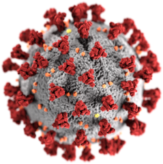 Virus